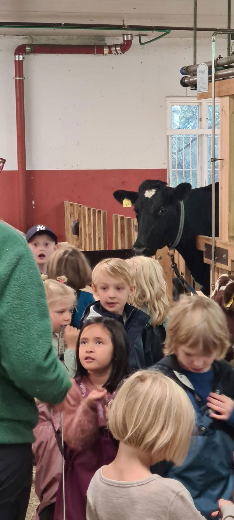 En gruppe barn som ser på en *** En gruppe barn som ser på en ***