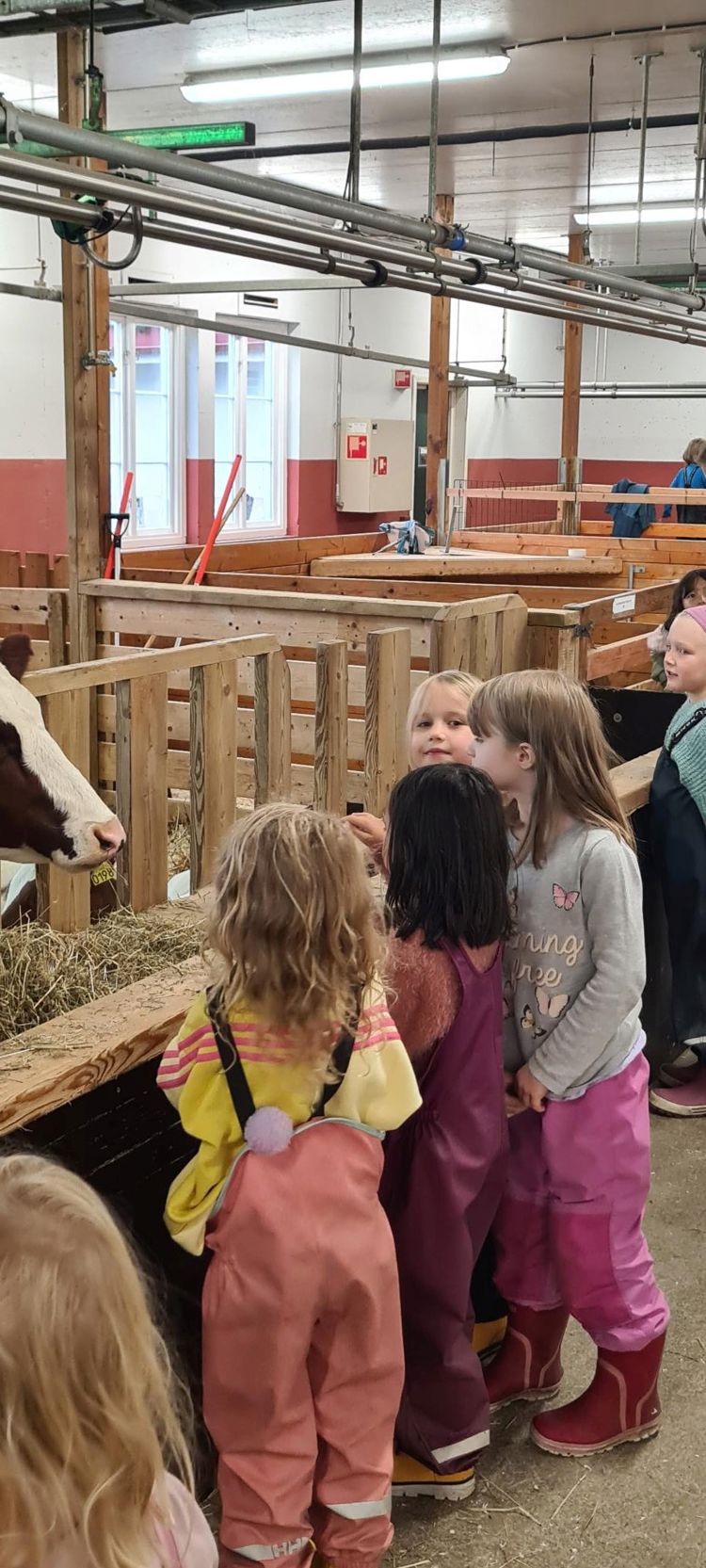 En gruppe barn som ser på en hest i en låve En gruppe barn som ser på en hest i en låve