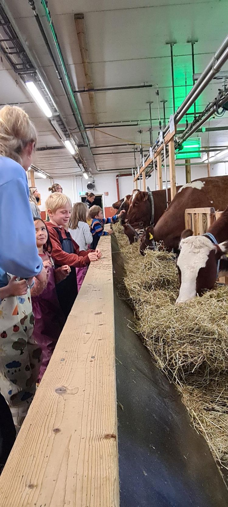 En gruppe mennesker står i nærheten av noen *** En gruppe mennesker står i nærheten av noen ***