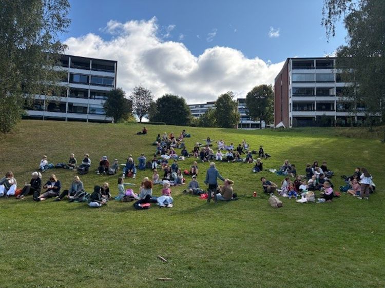 en gruppe mennesker som sitter på gresset en gruppe mennesker som sitter på gresset