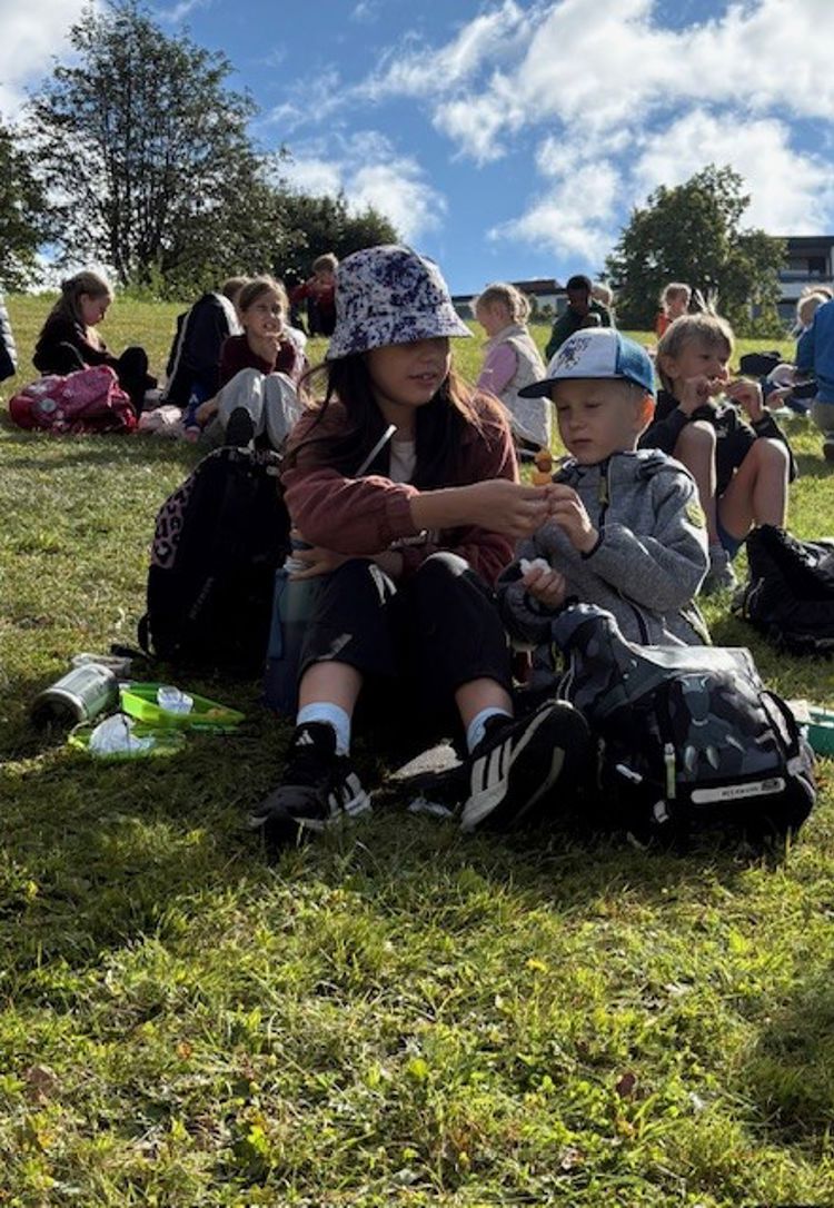 en gruppe mennesker som sitter på gresset