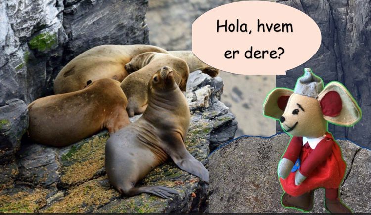 En gruppe dyr