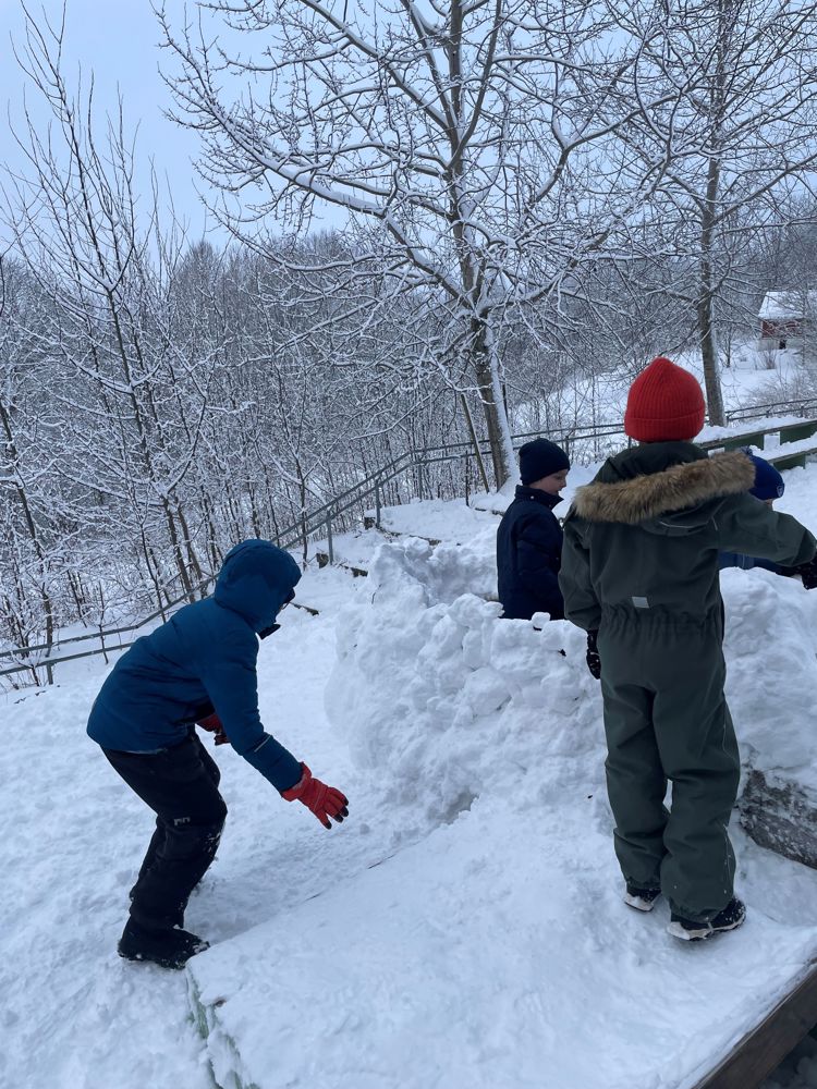 En gruppe mennesker ute i snøen