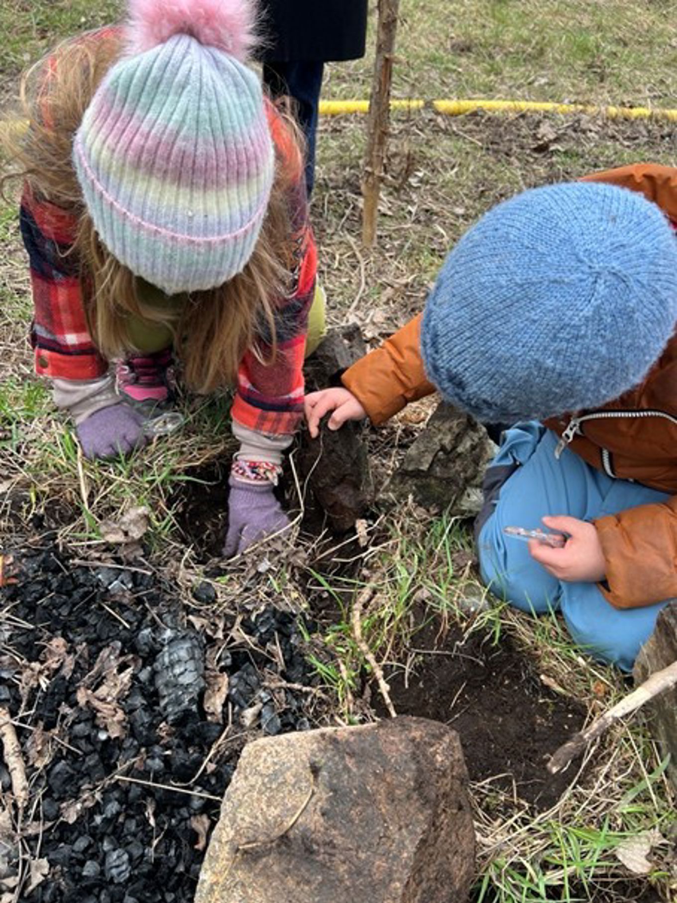 en gruppe barn som graver en gruppe barn som graver