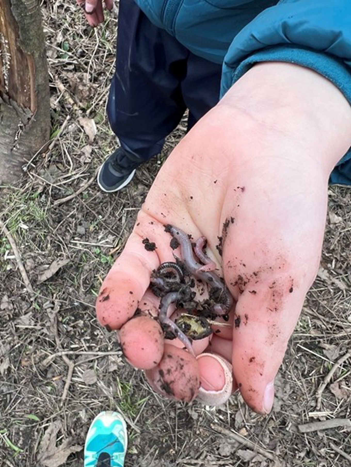Støtende innhold Støtende innhold