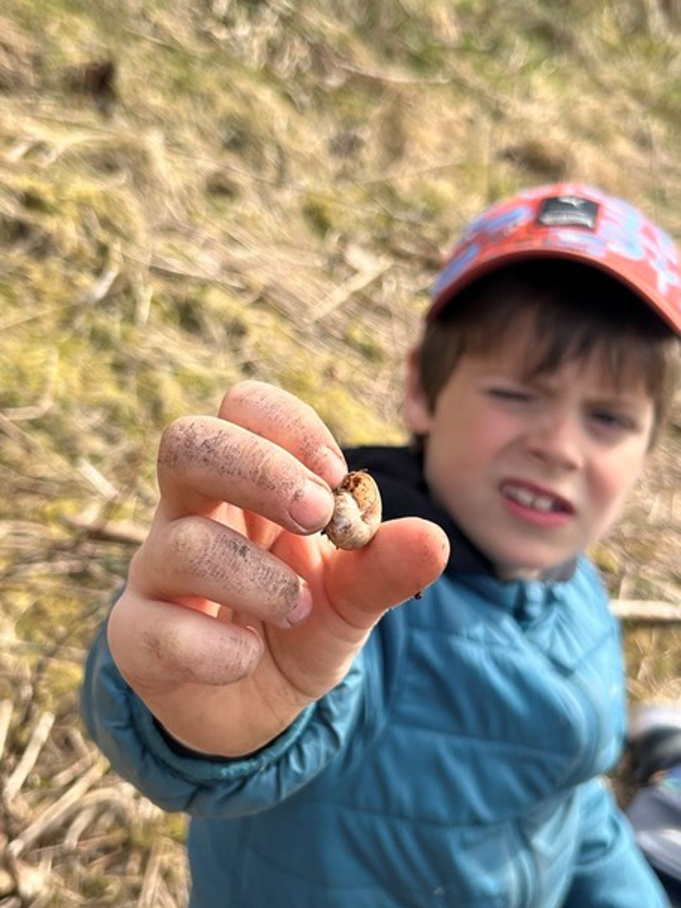 et barn som holder en liten skilpadde et barn som holder en liten skilpadde